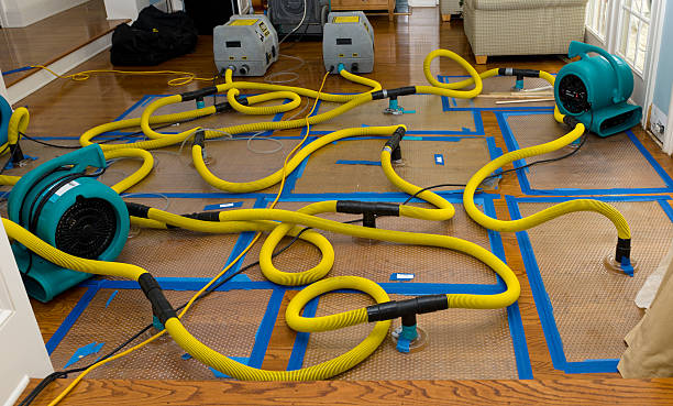 Professional Water Extraction technician working in Wixom, MI